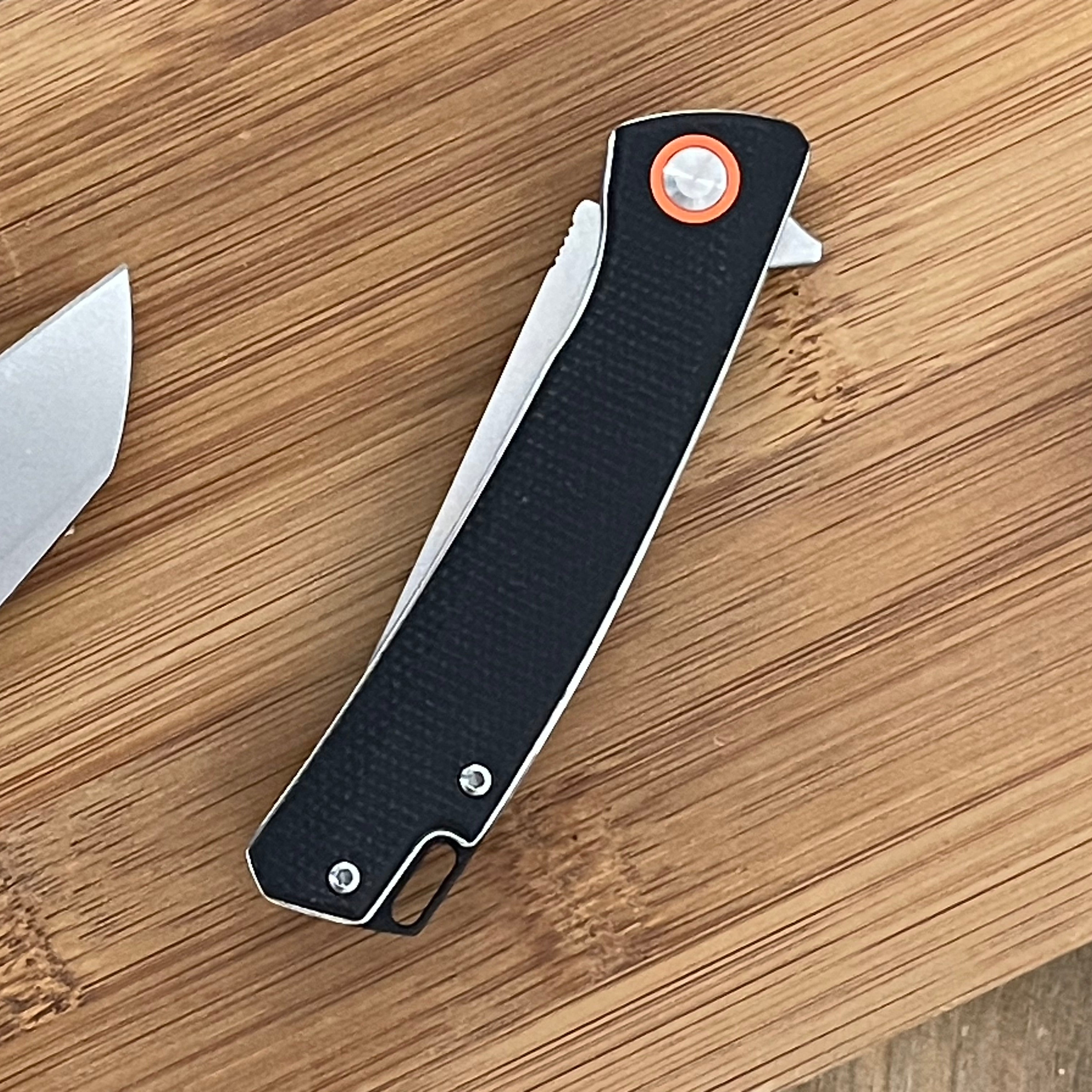 814522 salamandra navaja 