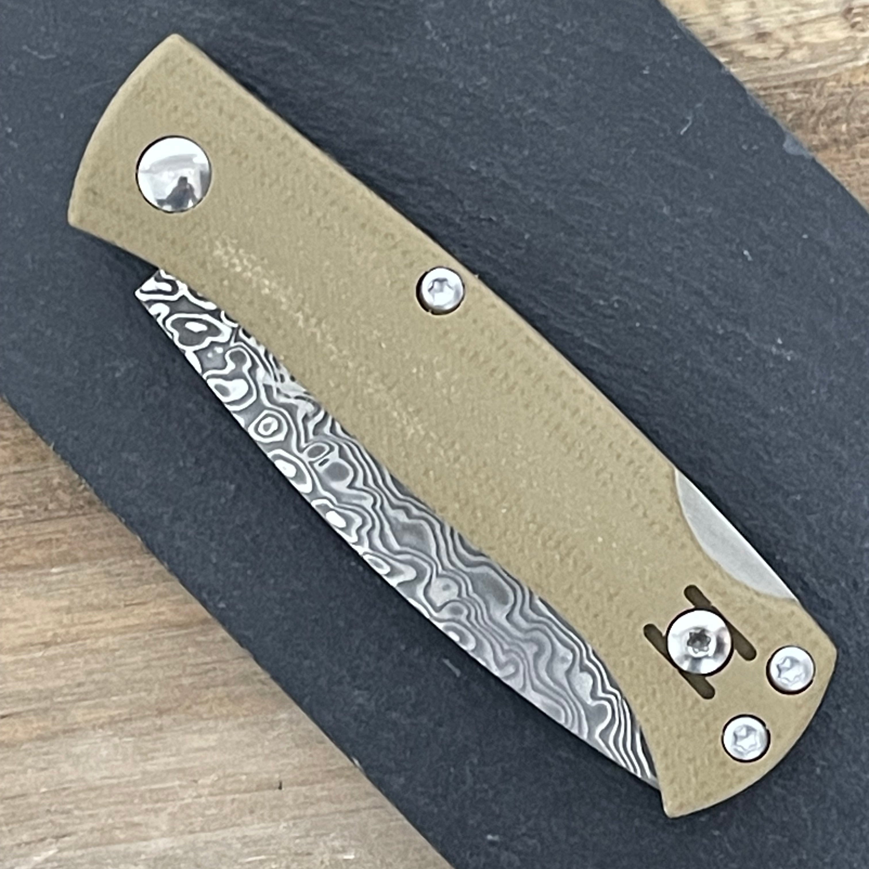 Navaja salamandra geminis 