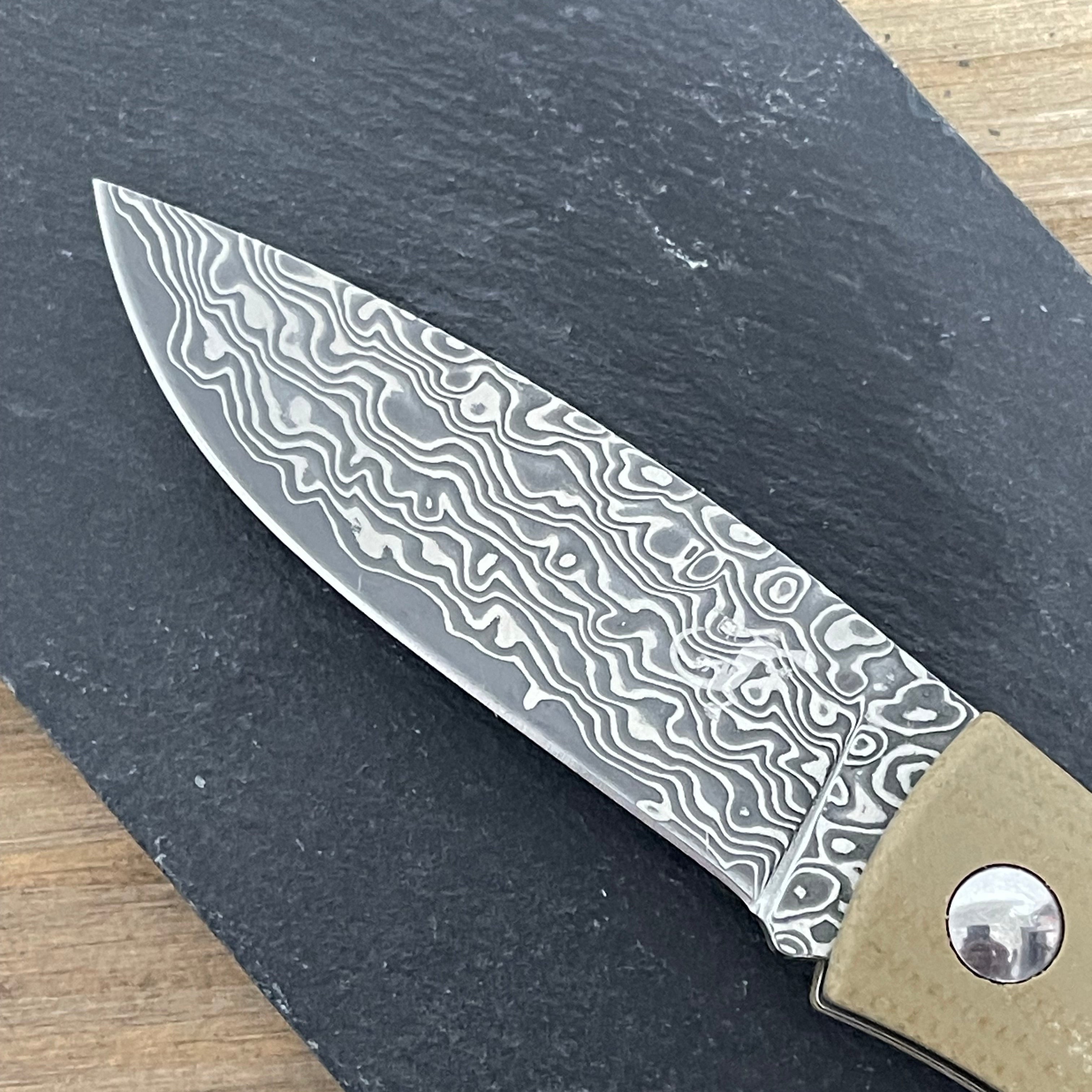 Navaja salamandra geminis damasco